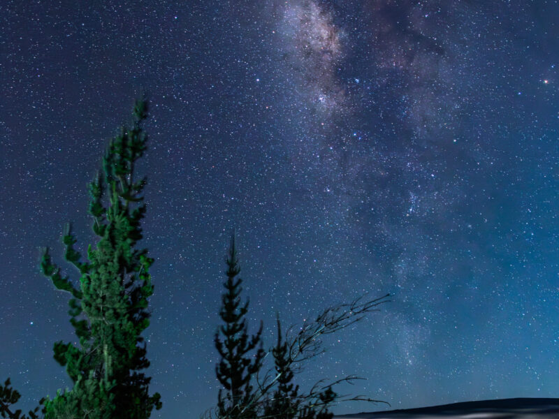 Stars on Saddle Rd.